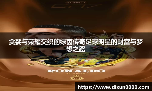 贪婪与荣耀交织的绿茵传奇足球明星的财富与梦想之路